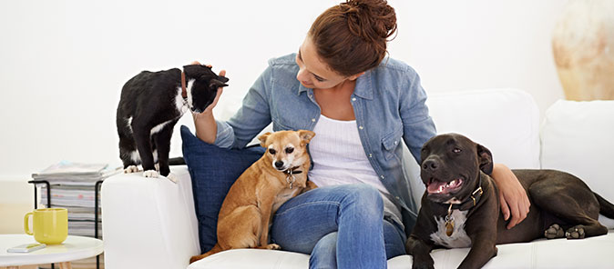 More time for pets on Leap Day