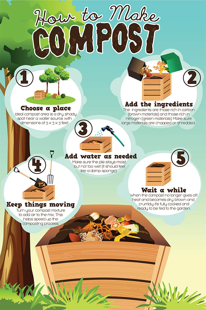 How to compost infographic