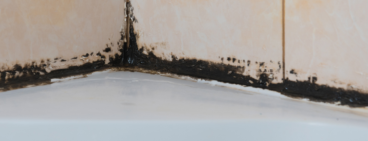 How To Remove Mold From Bathroom in 5 Simple Steps