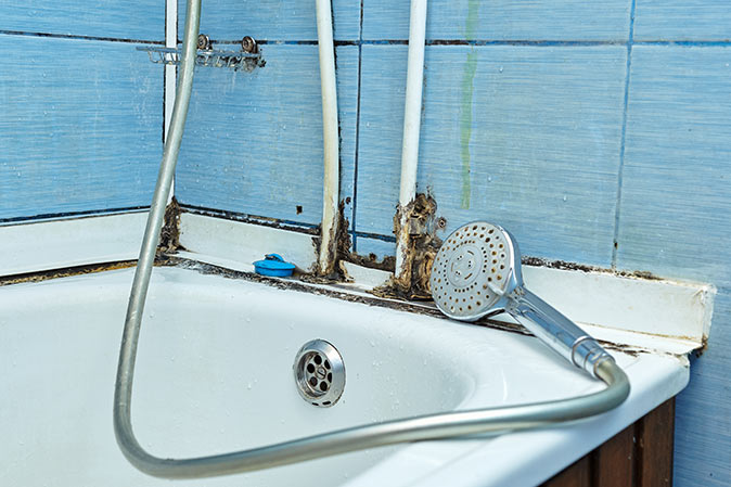 Showerhead on the side of a bathtub with black mold growing on the edges.