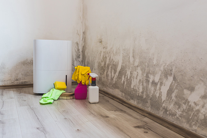 Black mold on the walls of the room with a dehumidifier, spray bottle, and mildew removal products.