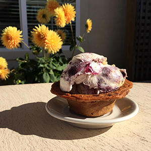 Bowl of blueberry ice cream sits on summer patio table with bright yellow flowers in background