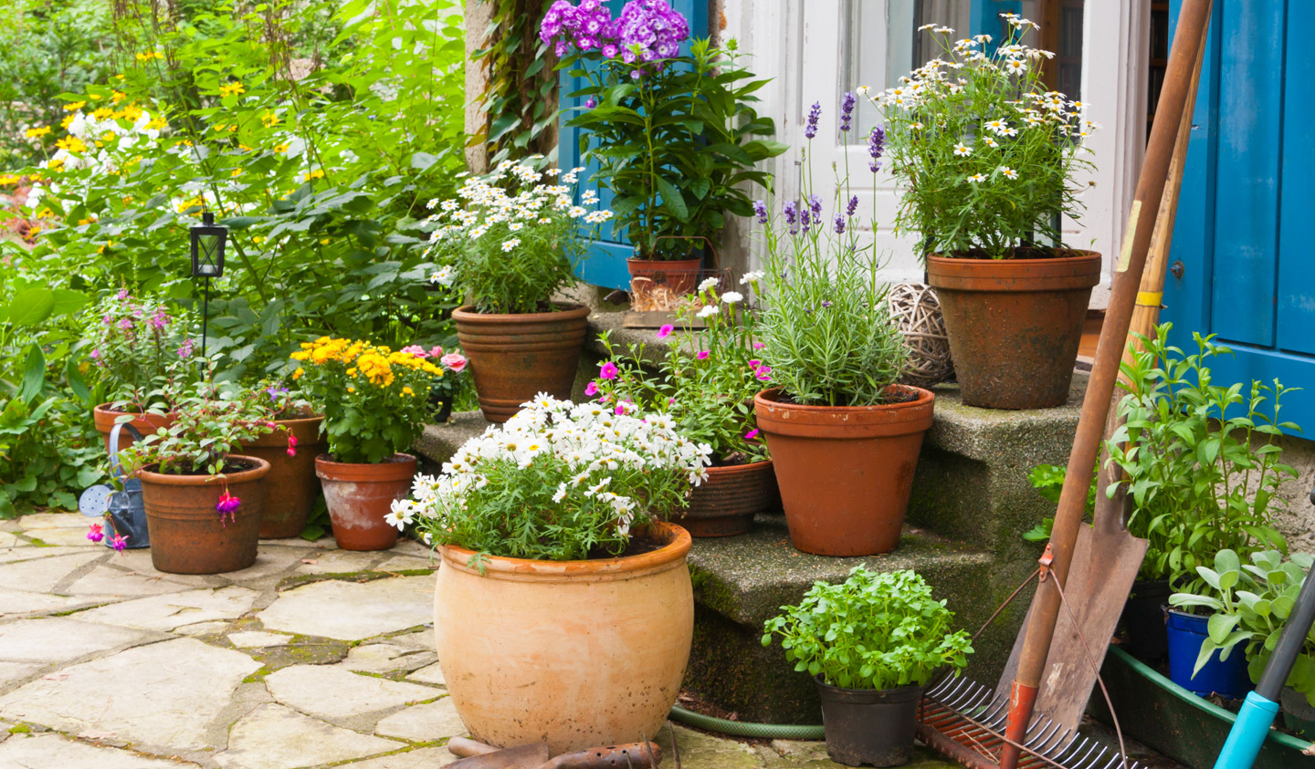 Container Gardening Ideas for Remarkably Small-Space Gardens