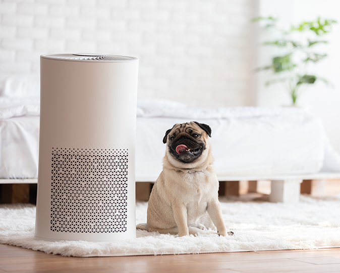 A happy pug sits next to an air purifier in a cozy white bedroom.