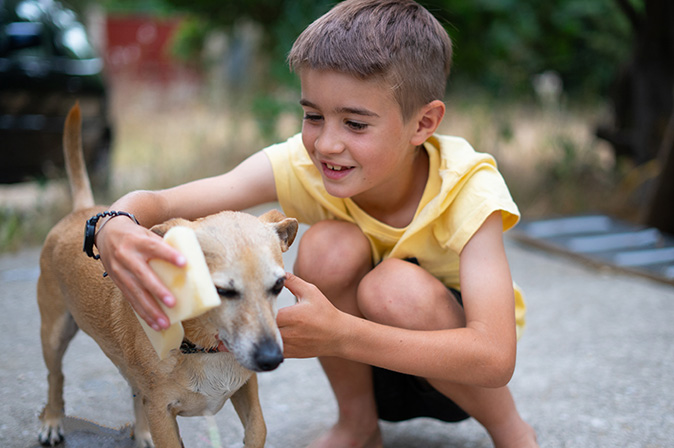 A young boy smiles and bathes his dog with a sponge outdoors.