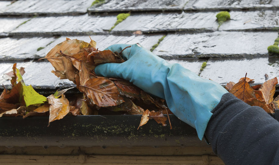 Mastering Gutter Maintenance: Expert Tips for Cleaning Your Gutters