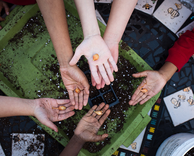 A group of diverse gardeners holds out seeds in their hands.