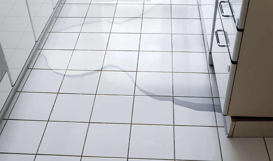 Dishwasher Leaking? Here's Why and How to Fix It