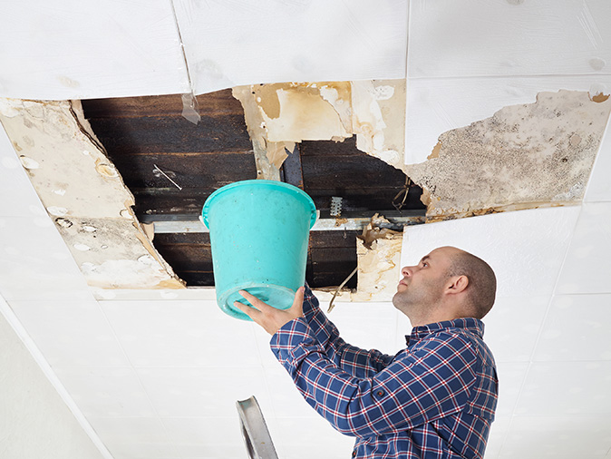 A man collects water in a bucket from a moldy and destroyed ceiling.