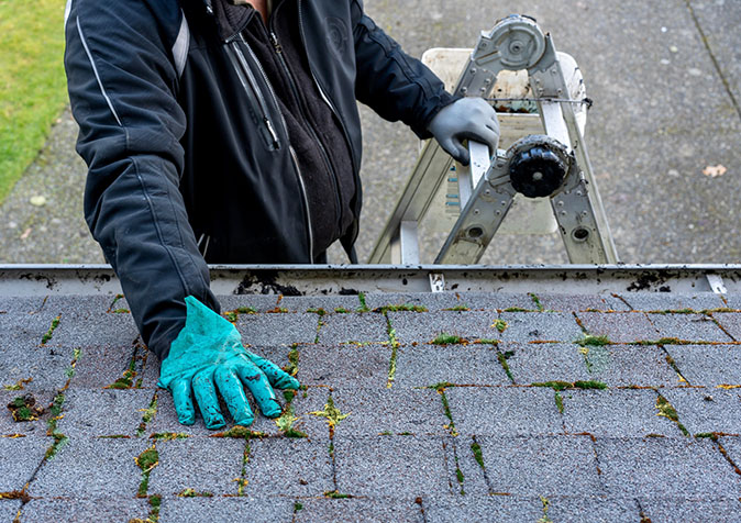 A person standing on a ladder inspecting a shingled roof with moss growing on it.