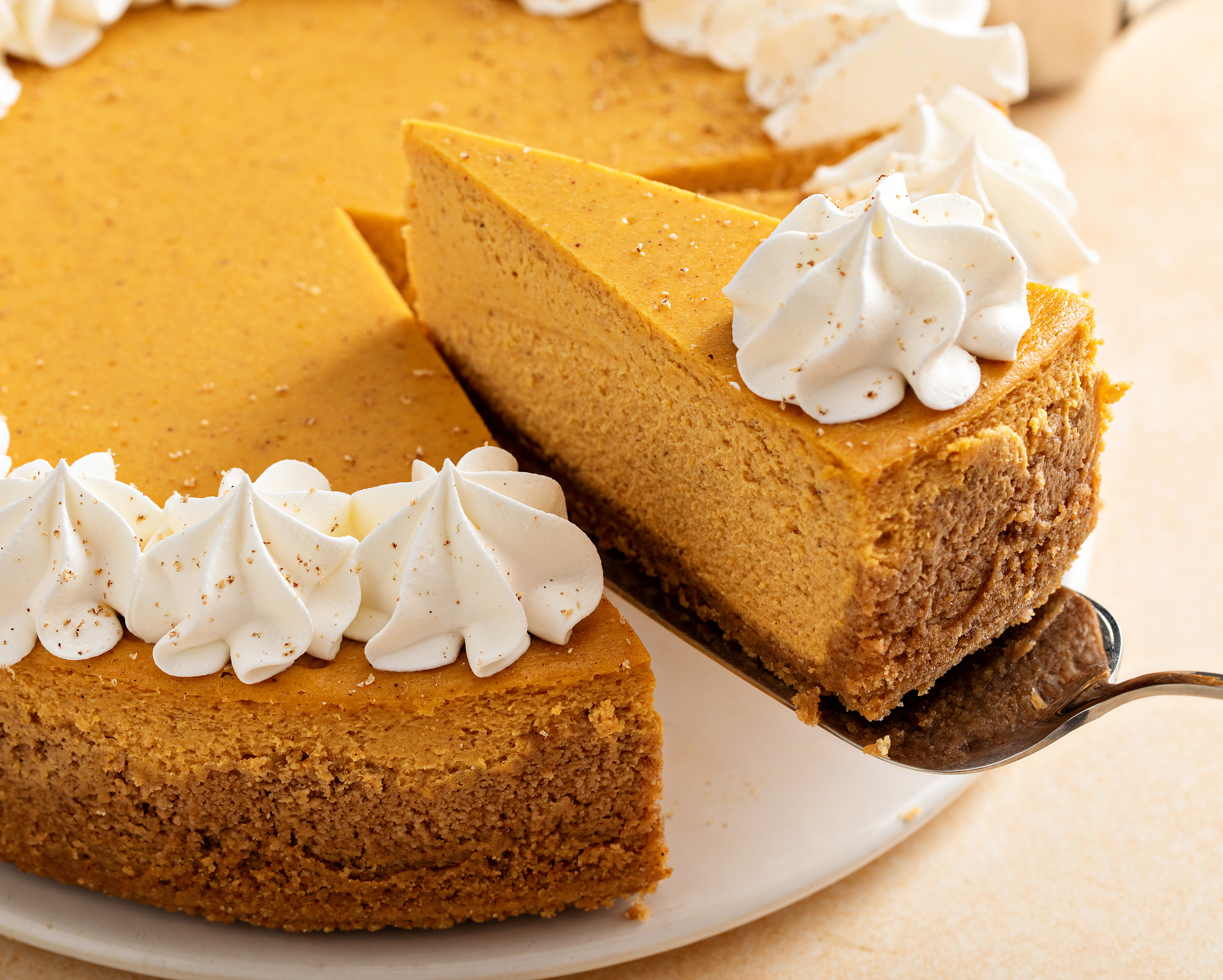 A very decorative slice of pumpkin cheesecake is ready to serve.
