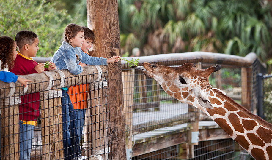 Safe, Low-Cost Fun with Kids This Summer