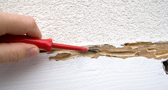 Closeup showing termite damage on an exterior wooden support beam, showing soft wood and tracks running through it.
