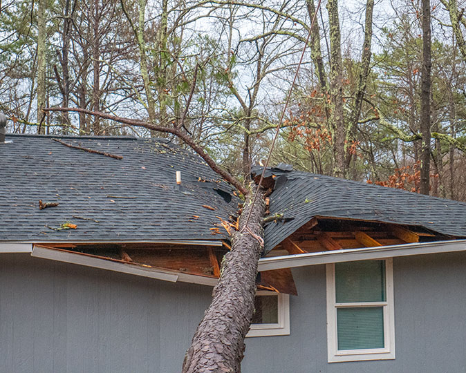 A large fallen tree is being removed from a severely damaged roof.