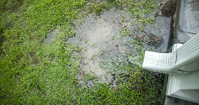 Standing water pooling in a yard from a gutter downspout.