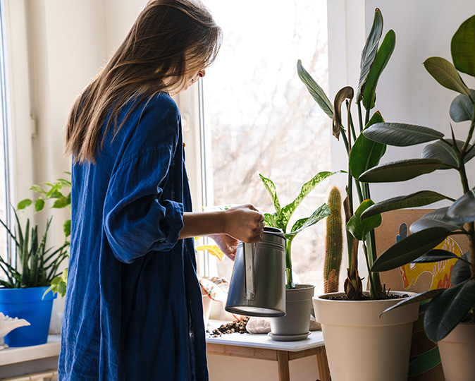 A woman stands at the window watering a variety of indoor plants, including trees.