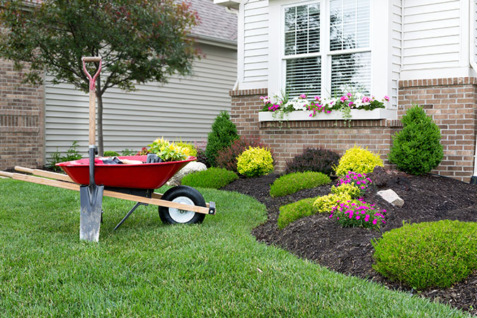 A yard with clean and nice landscaping